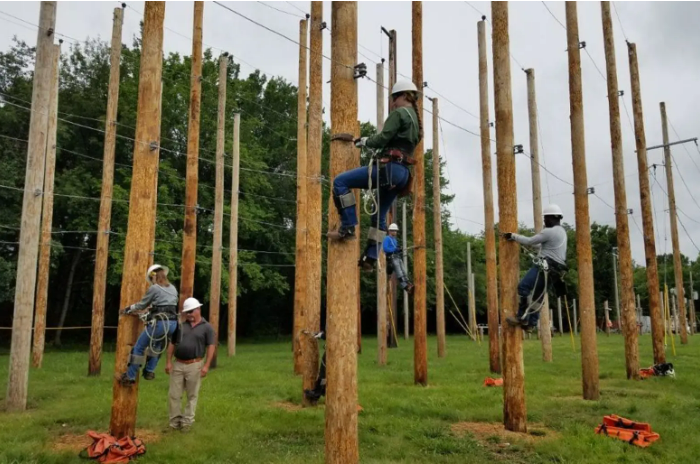 Image of linemen climbing poles