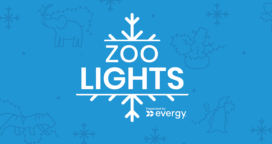 Light blue background with winter character outlines and white copy that reads "Zoo Lights"