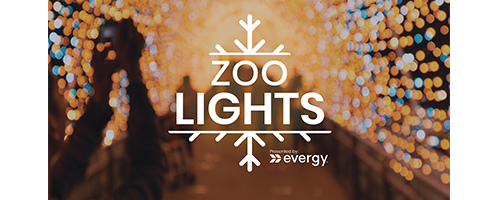 Zoo Lights Presented by Evergy