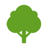 Sustainability Icon - Tree